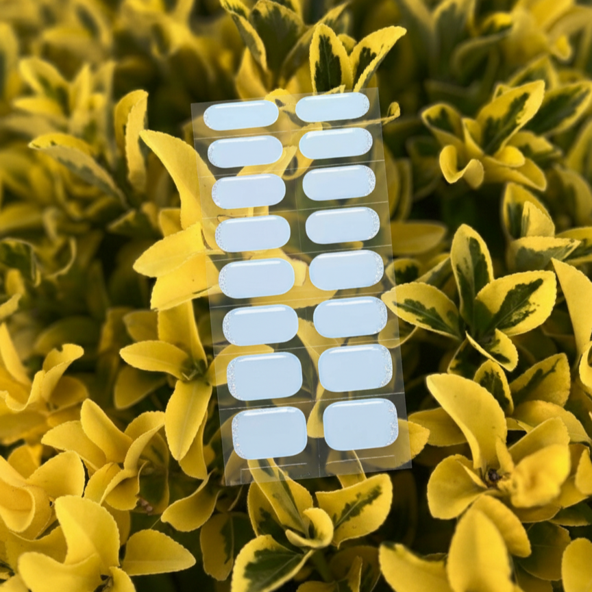 PoppyCure Cinderella