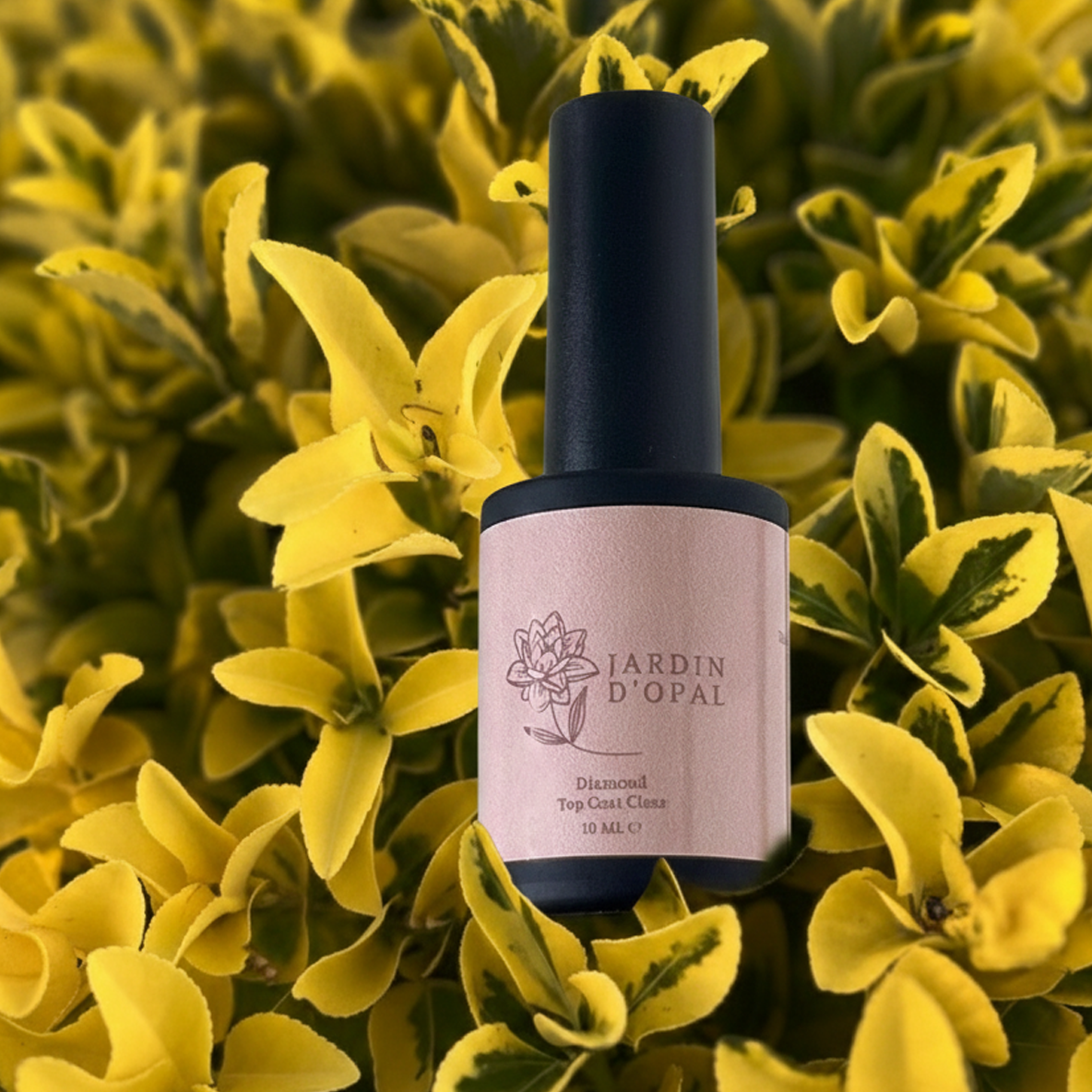 Diamond Top Coat Clear