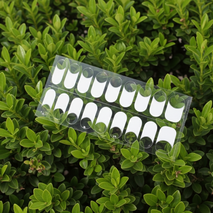 FleurPress White and  Crystal