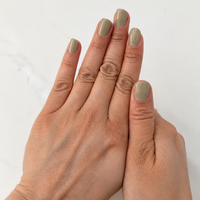 Opal Caqui Stickers